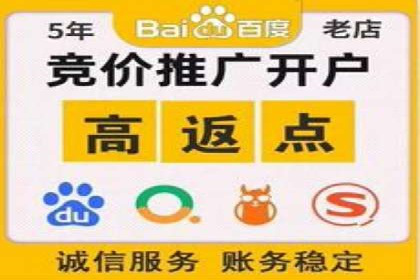 SEM托管实战：某电商平台的成功经验